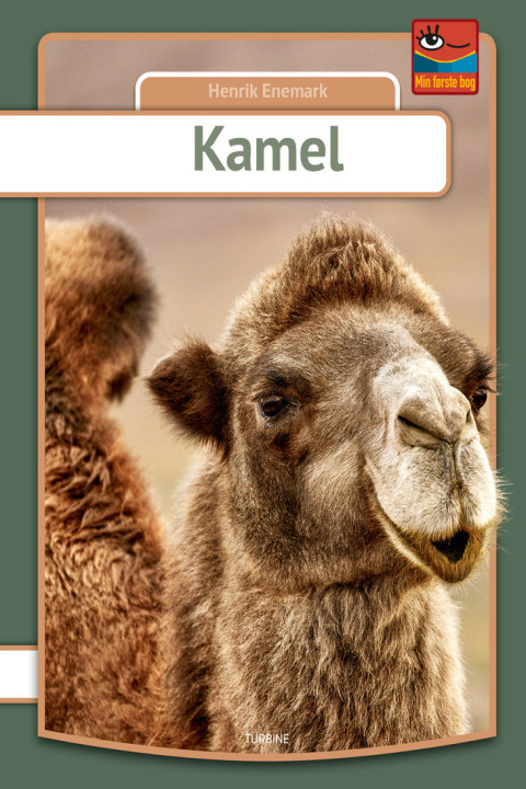 Omslag: Kamel