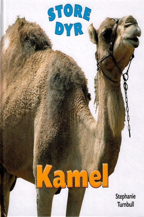 Omslag: Kamel