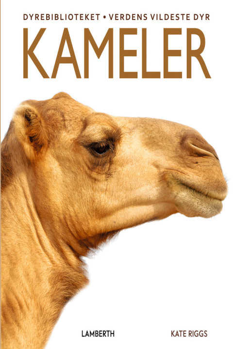 Omslag: Kameler