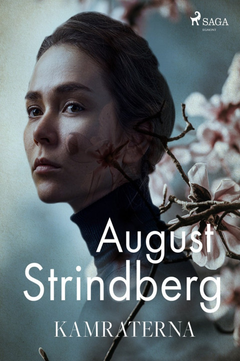 Omslag: Kamraterna