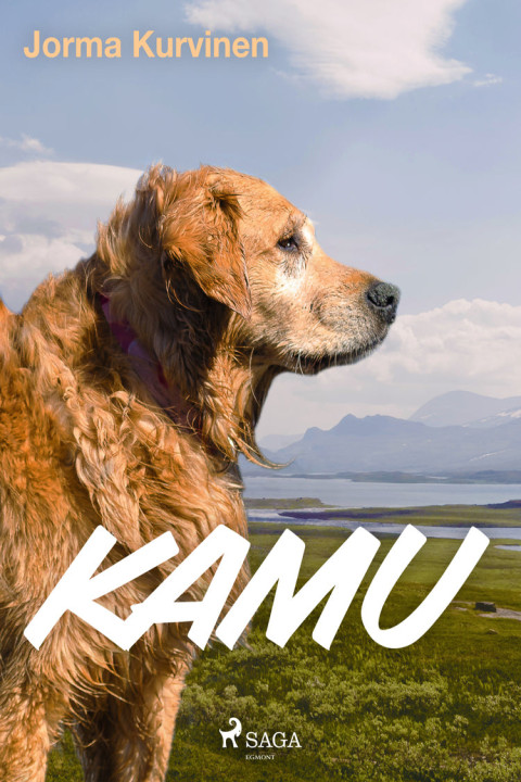 Omslag: Kamu