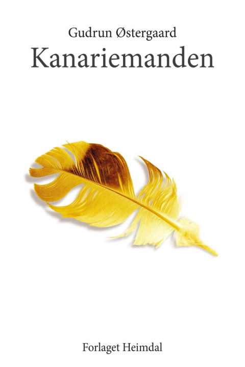 Omslag: Kanariemanden