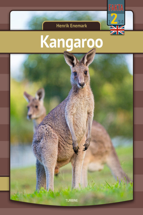 Omslag: Kangaroo
