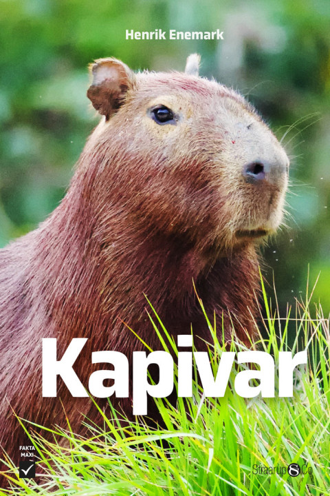 Omslag: Kapivar