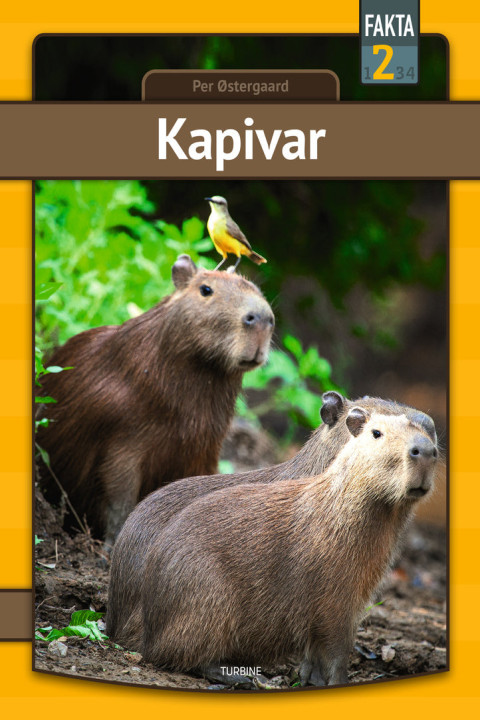 Omslag: Kapivar