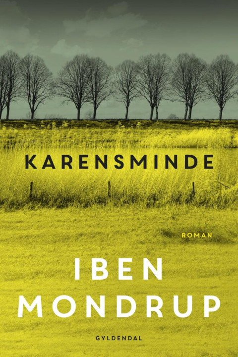 Omslag: Karensminde