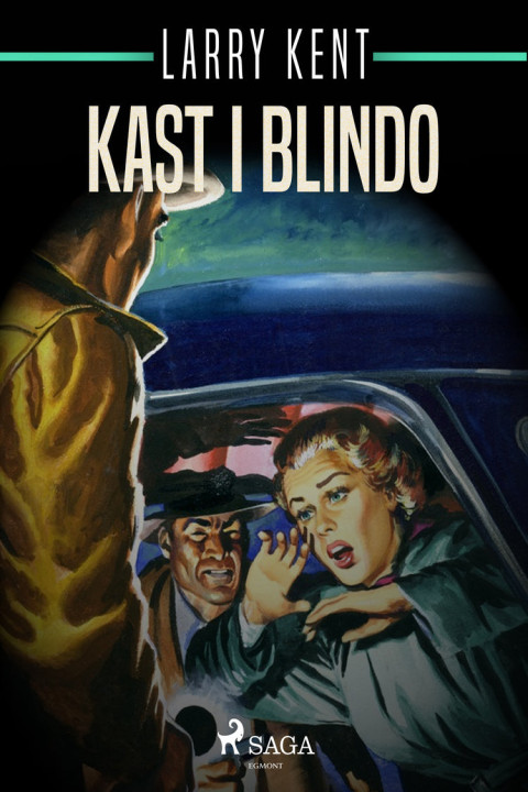 Omslag: Kast i blindo