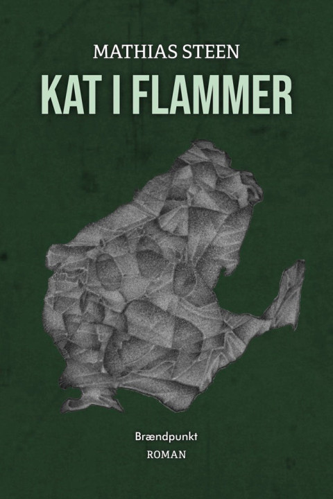 Omslag: Kat i flammer