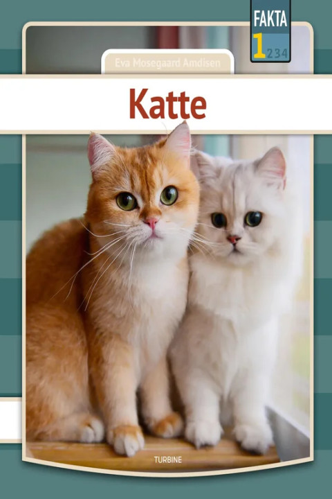 Omslag: Katte
