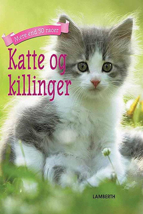 Omslag: Katte og killinger