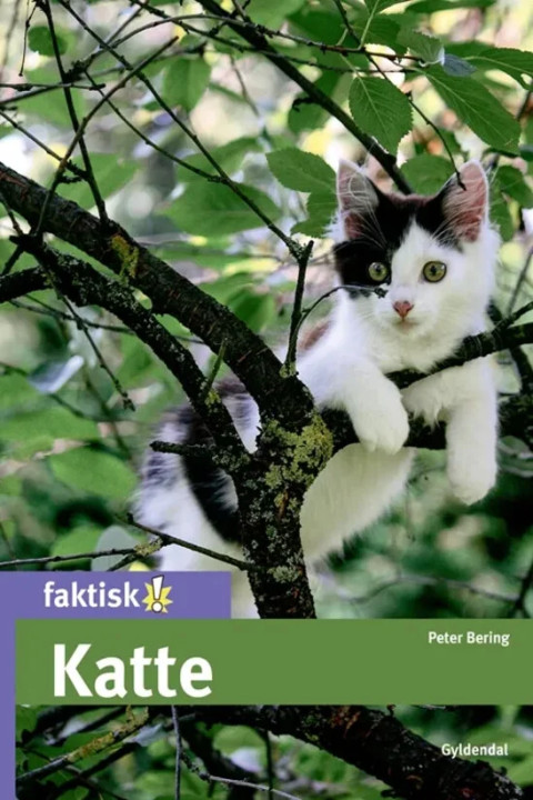 Omslag: Katte