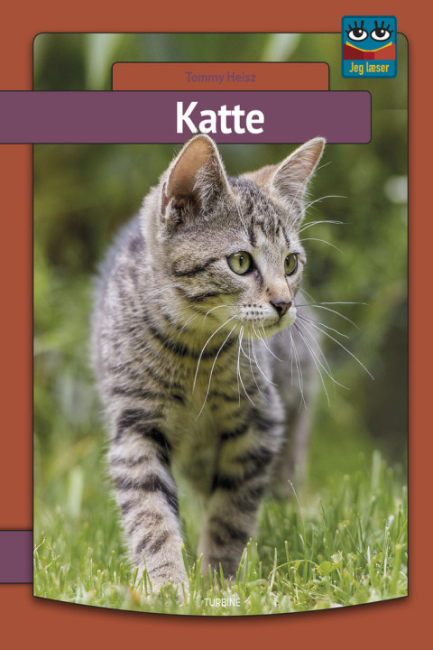 Omslag: Katte