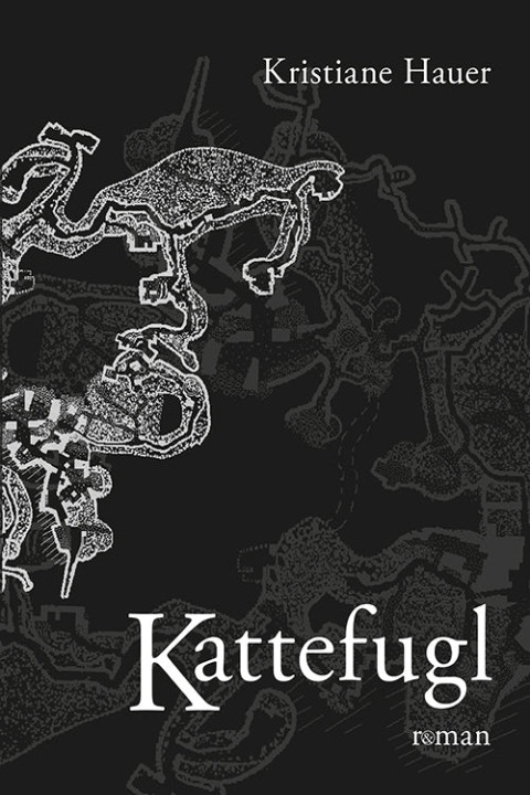 Omslag: Kattefugl