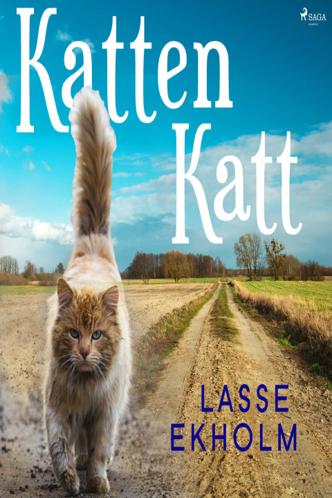Omslag: Katten Katt