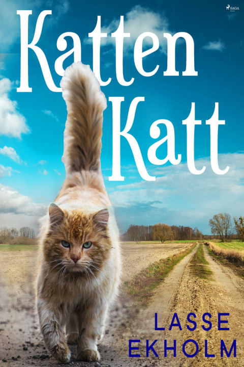 Omslag: Katten Katt