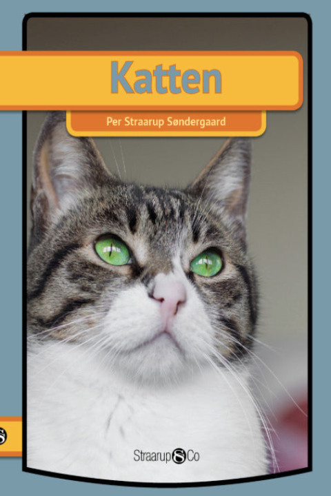 Omslag: Katten
