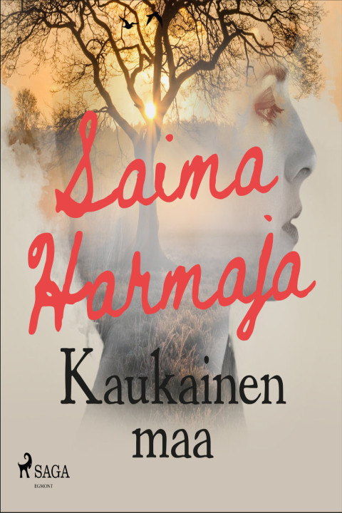 Omslag: Kaukainen maa