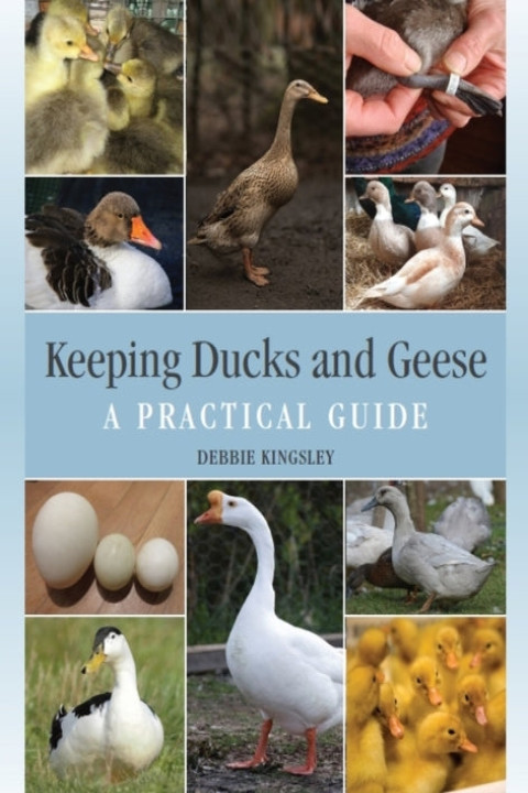 Omslag: Keeping Ducks and Geese