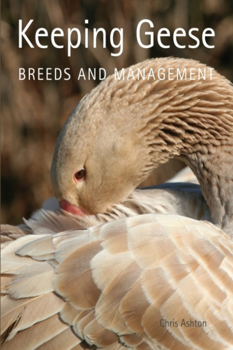 Omslag: Keeping Geese