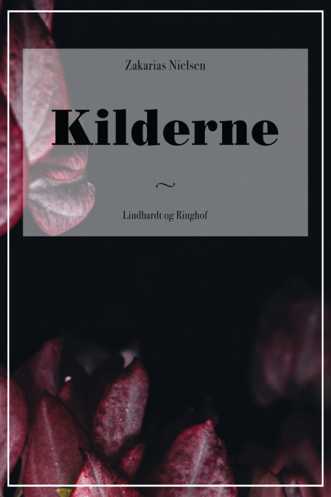 Omslag: Kilderne