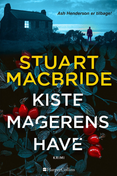 Omslag: Kistemagerens have