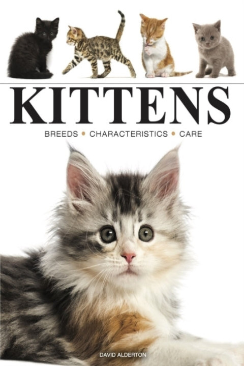 Omslag: Kittens