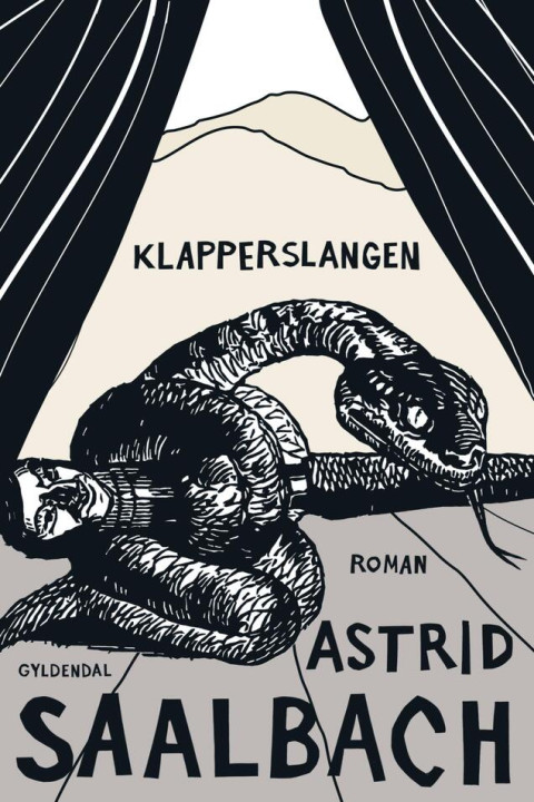 Omslag: Klapperslangen