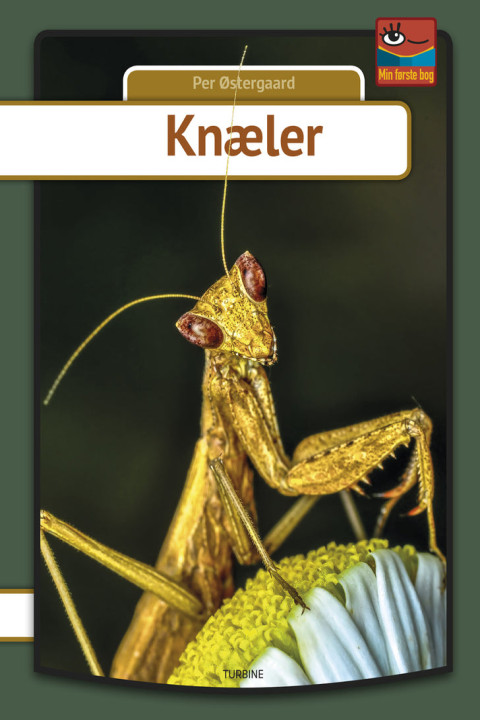 Omslag: Knæler