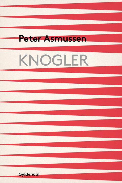 Omslag: Knogler