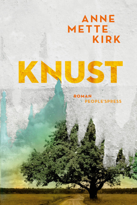 Omslag: Knust