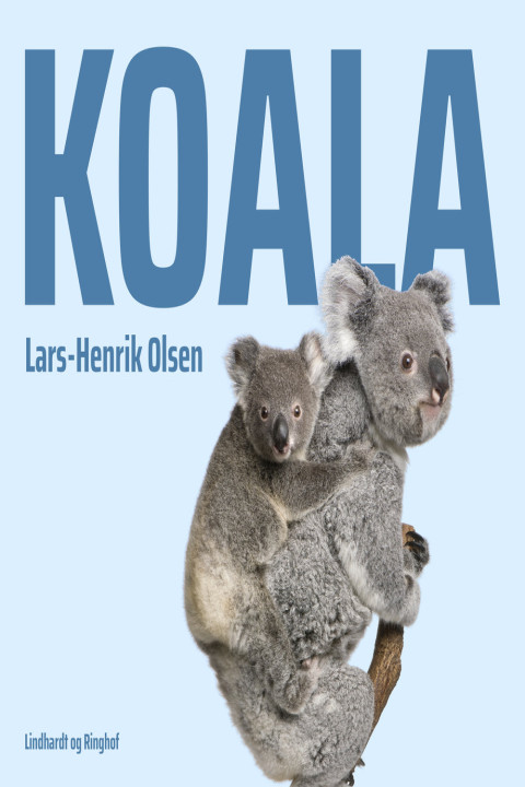 Omslag: Koala