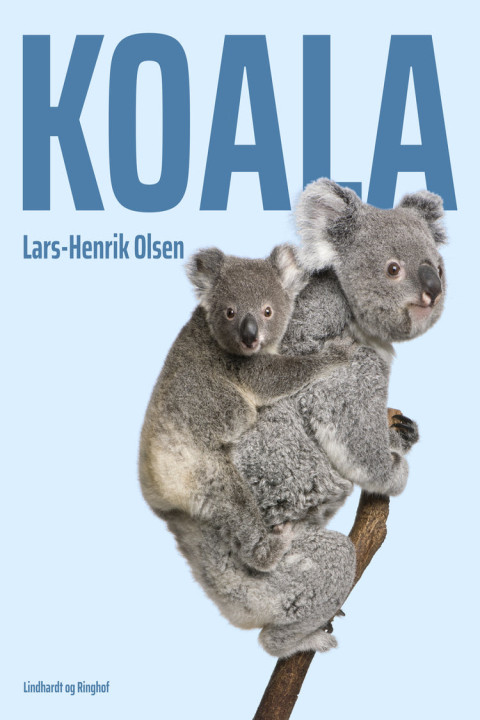 Omslag: Koala