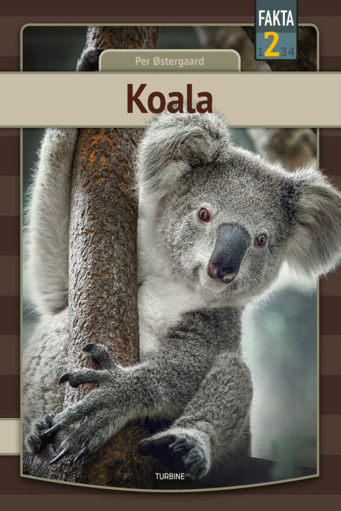 Omslag: Koala