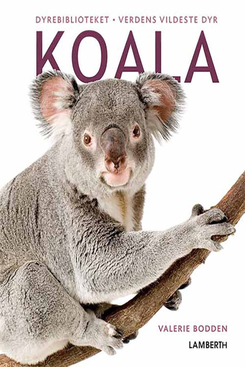 Omslag: Koala