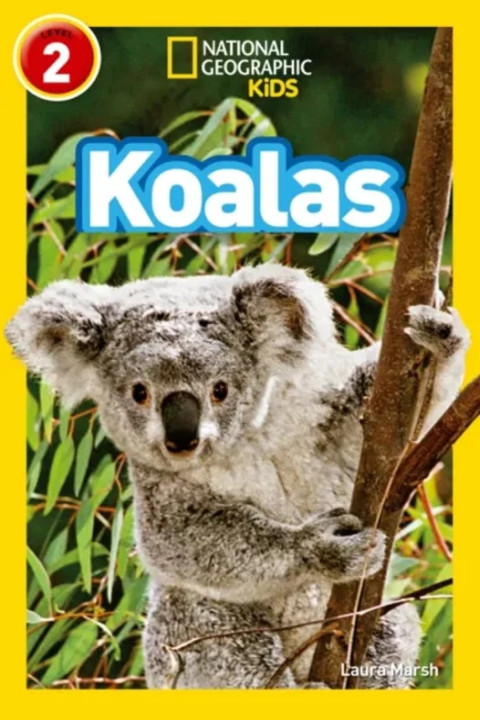 Omslag: Koalas - Level 2