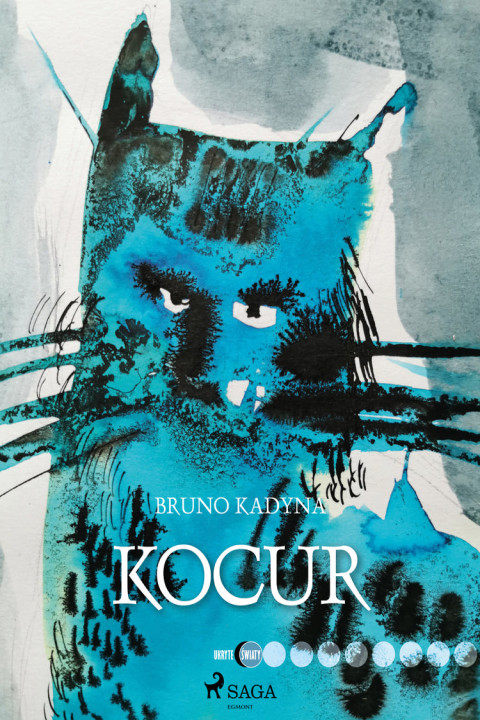 Omslag: Kocur