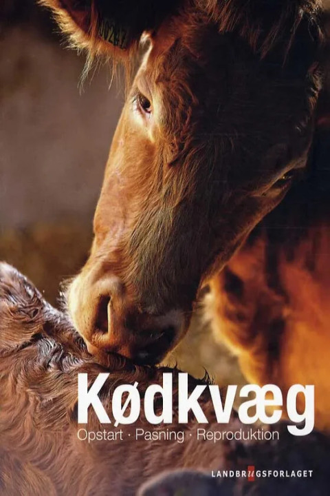 Omslag: Kødkvæg