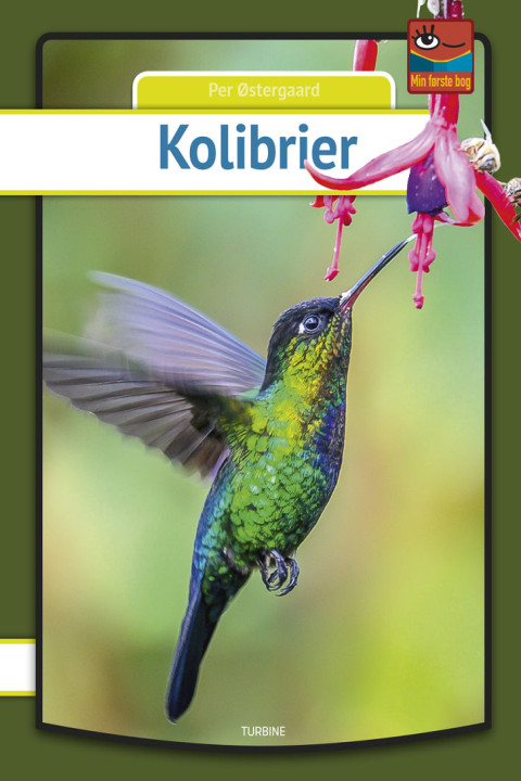 Omslag: Kolibrier