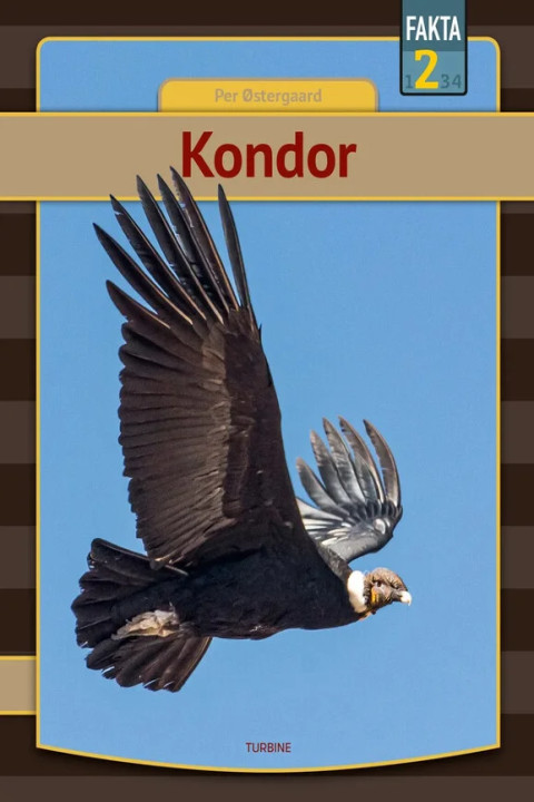 Omslag: Kondor