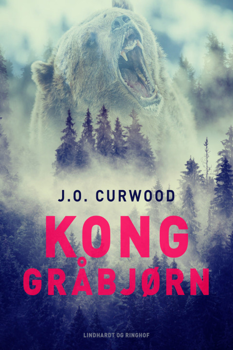 Omslag: Kong Gråbjørn