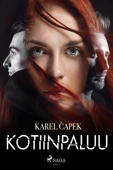 Omslag: Kotiinpaluu