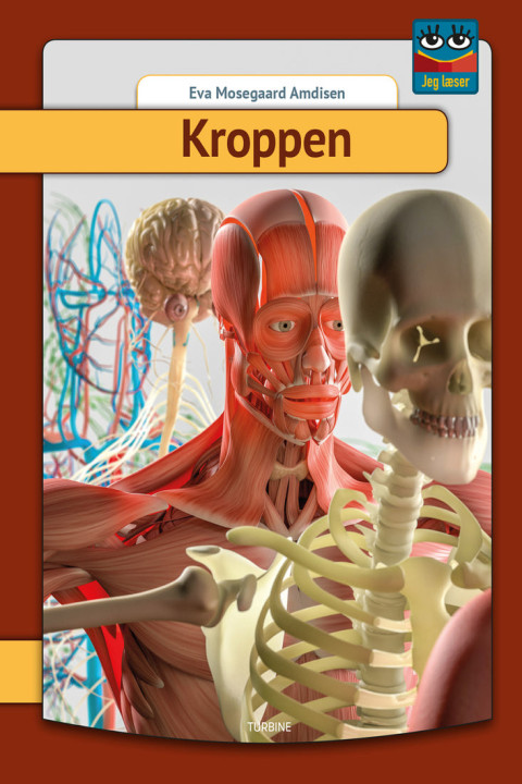Omslag: Kroppen