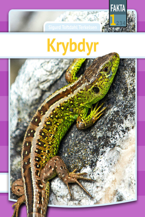 Omslag: Krybdyr
