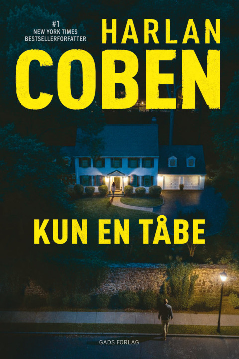 Omslag: Kun en tåbe