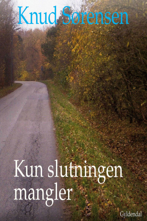 Omslag: Kun slutningen mangler