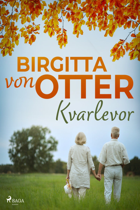 Omslag: Kvarlevor
