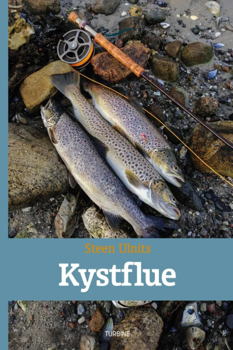 Omslag: Kystflue