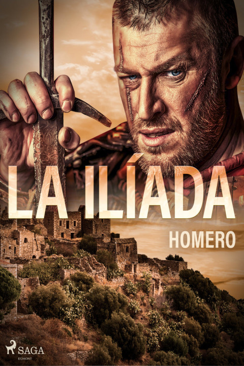 Omslag: La IliÌ ada