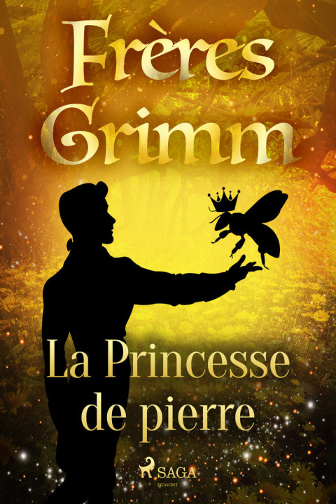 Omslag: La Princesse de pierre