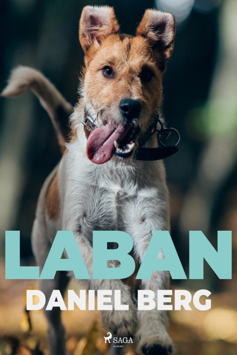 Omslag: Laban